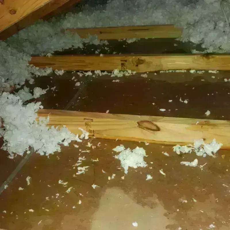 Attic Water Damage in Williamson County, TX