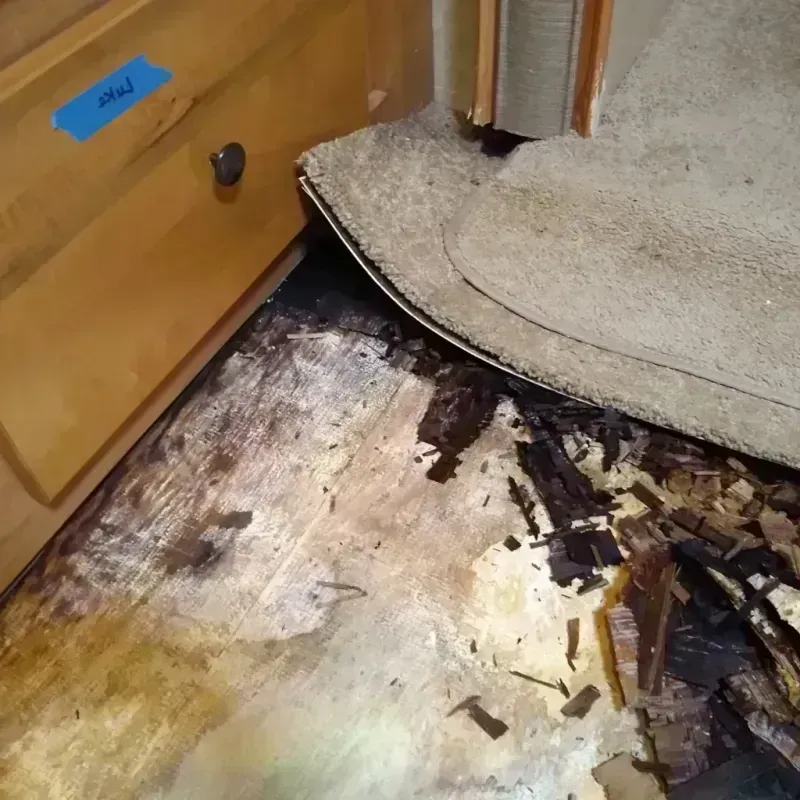 Wood Floor Water Damage in Williamson County, TX